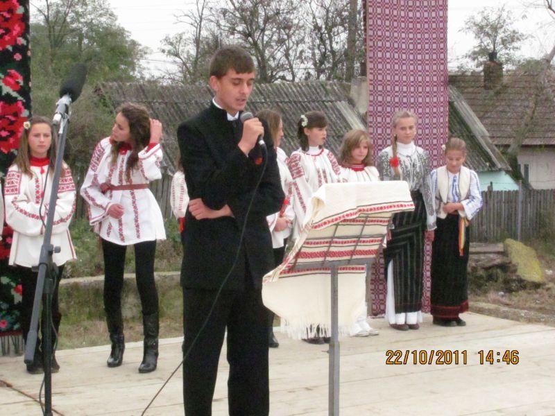 Ansamblul ,,Doina Costestilor"