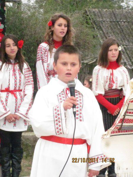 Ansamblul ,,Doina Costestilor"