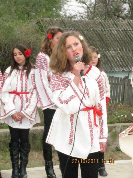 Ansamblul ,,Doina Costestilor"