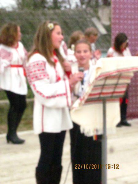 Ansamblul ,,Doina Costestilor"