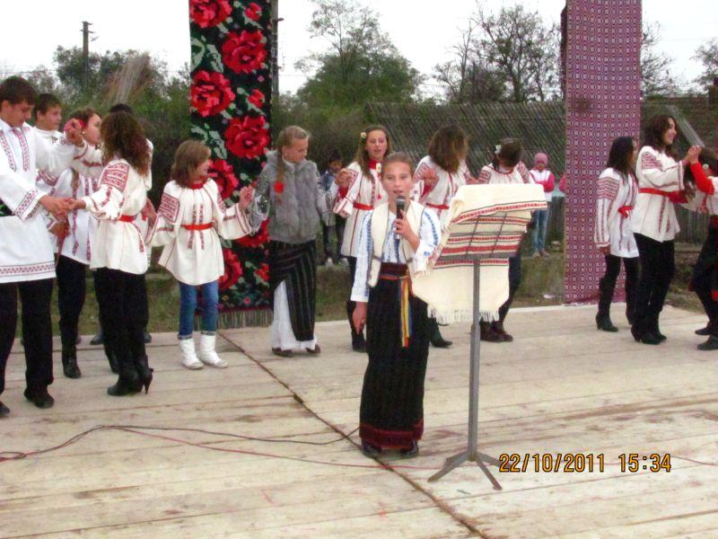 Ansamblul ,,Doina Costestilor"