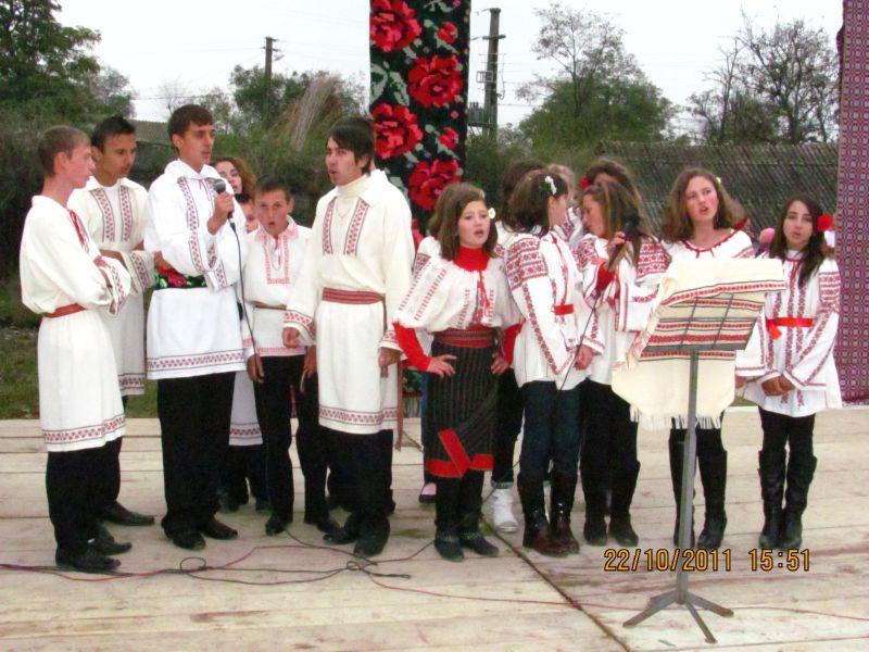 Ansamblul ,,Doina Costestilor"