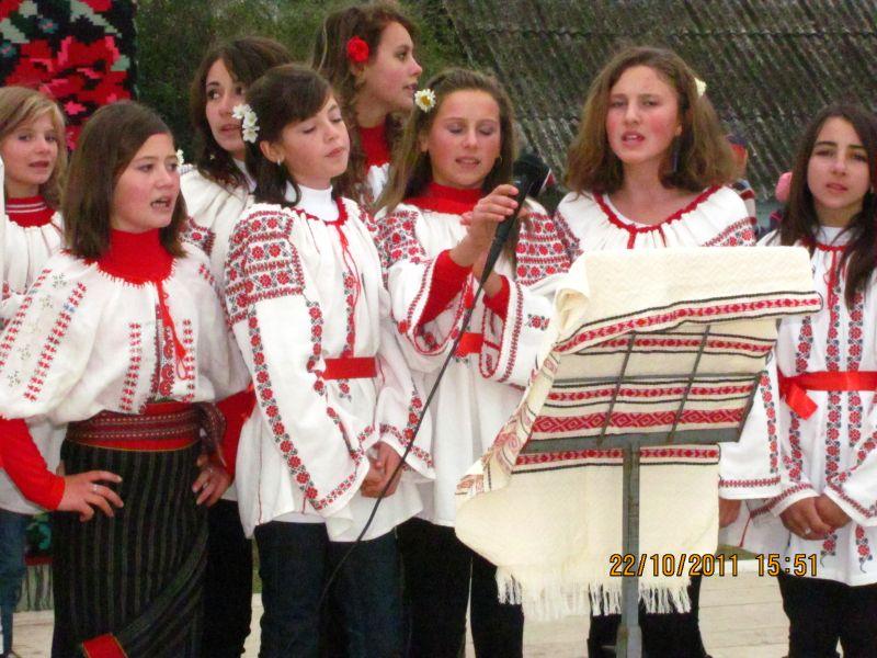 Ansamblul ,,Doina Costestilor"