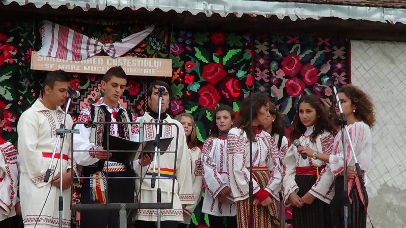 Sf.Mucenic Dimitrie Ocrotitorul satului Costesti - 26.octrombrie.2012