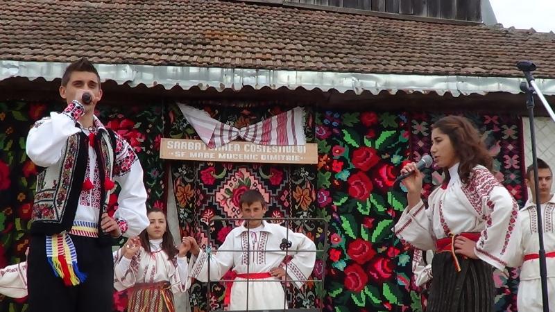 Sf.Mucenic Dimitrie Ocrotitorul satului Costesti - 26.octrombrie.2012