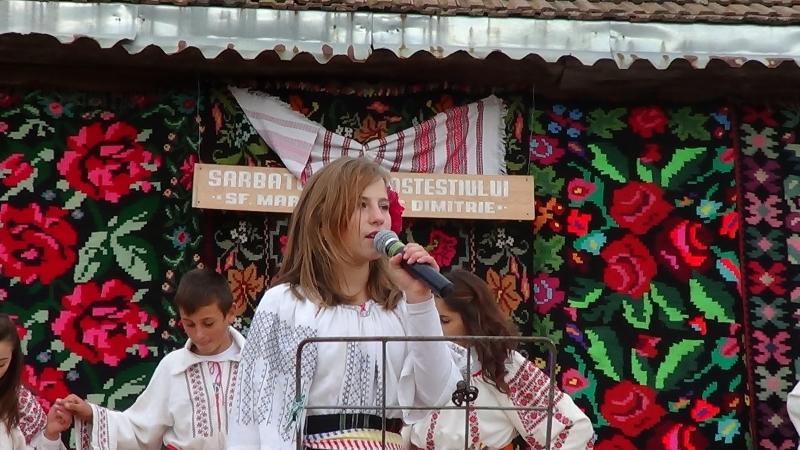 Sf.Mucenic Dimitrie Ocrotitorul satului Costesti - 26.octrombrie.2012
